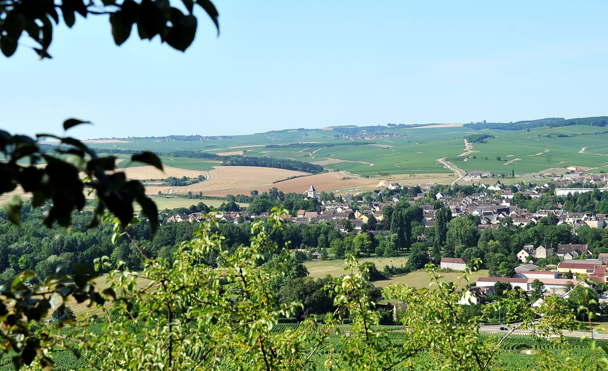 Chablis et Chablis Premier Cru