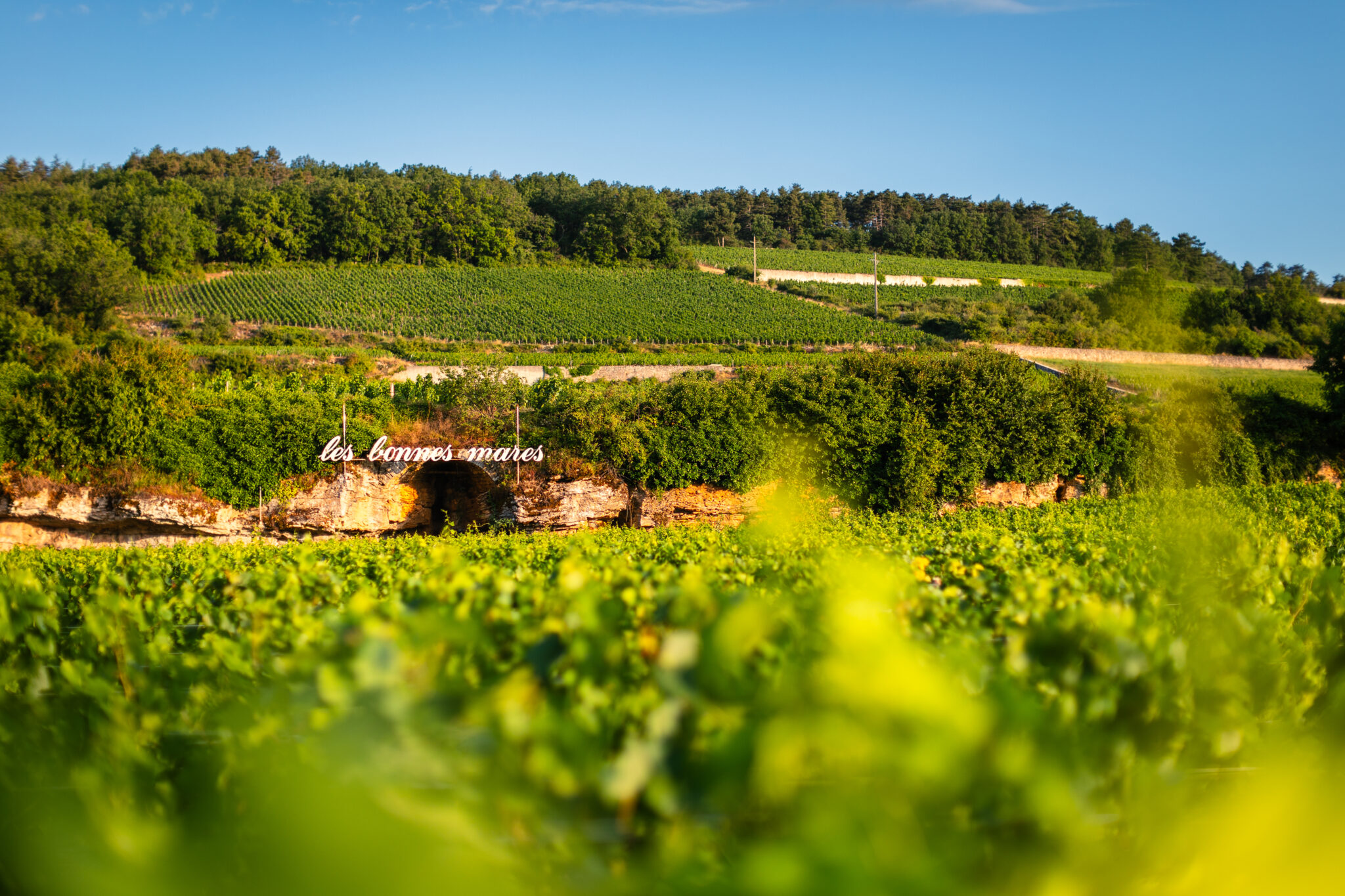Bonnes-Mares