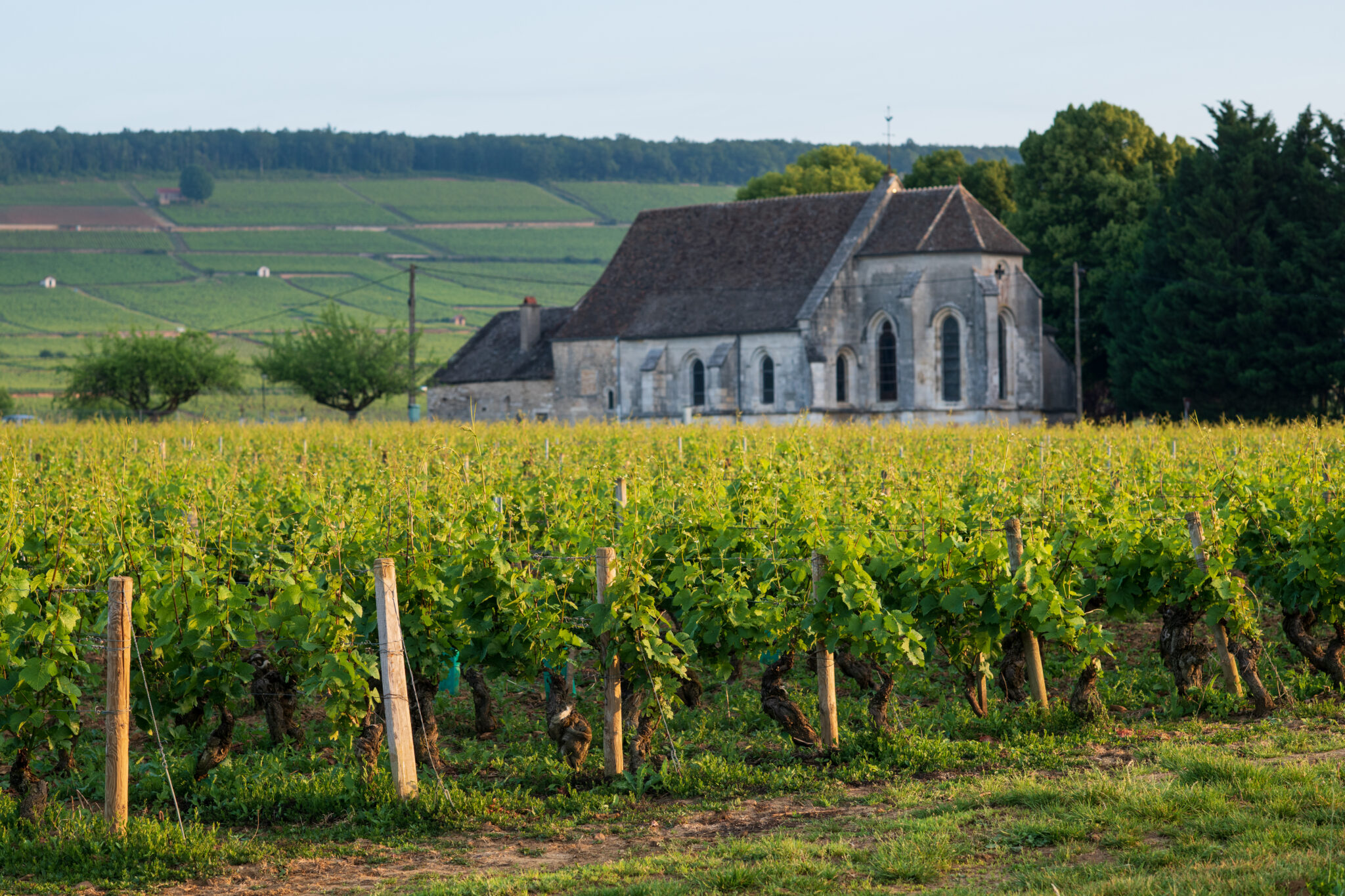 Bourgogne La Chapelle Notre-Dame