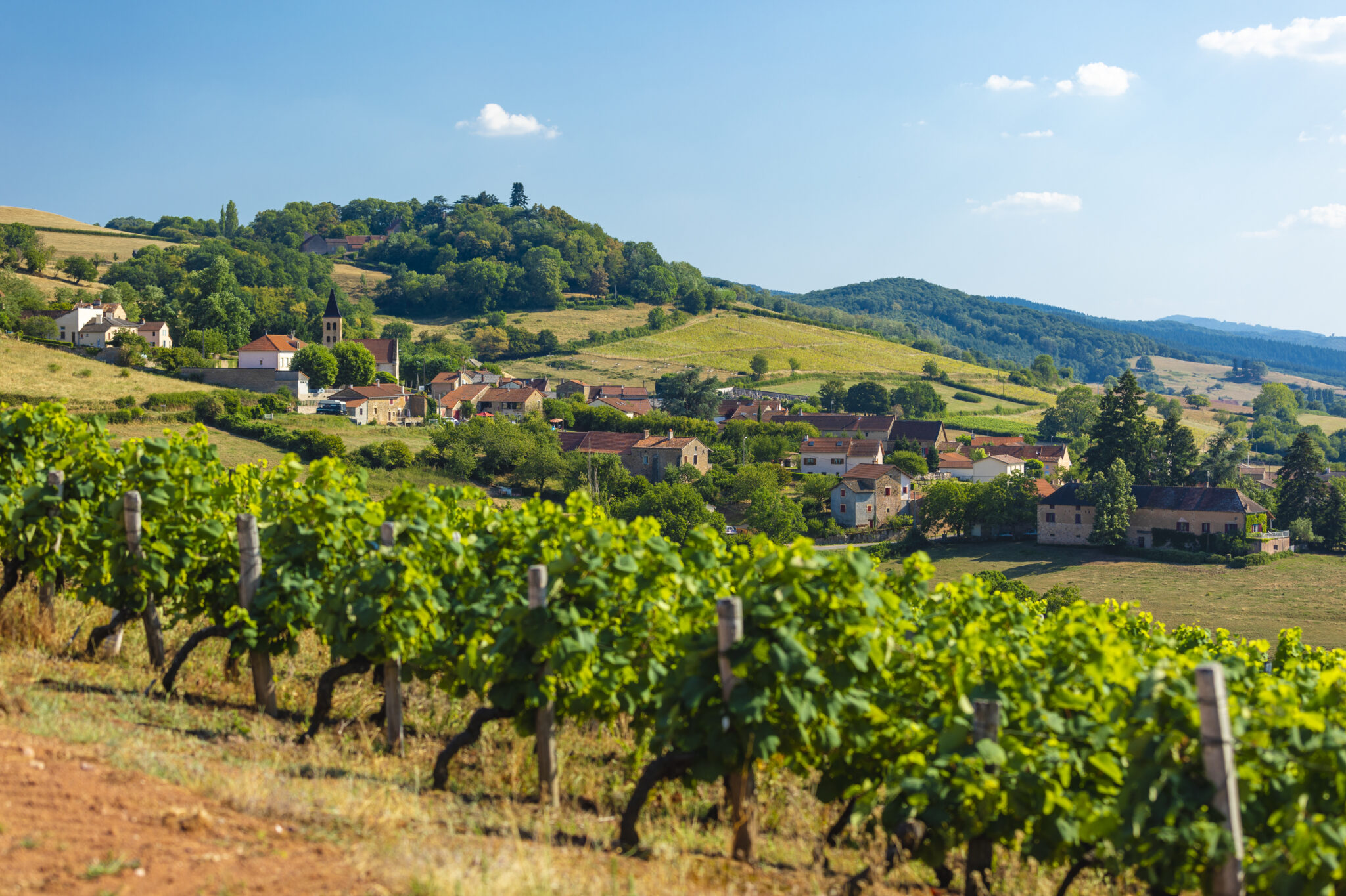 Mâcon-Bray