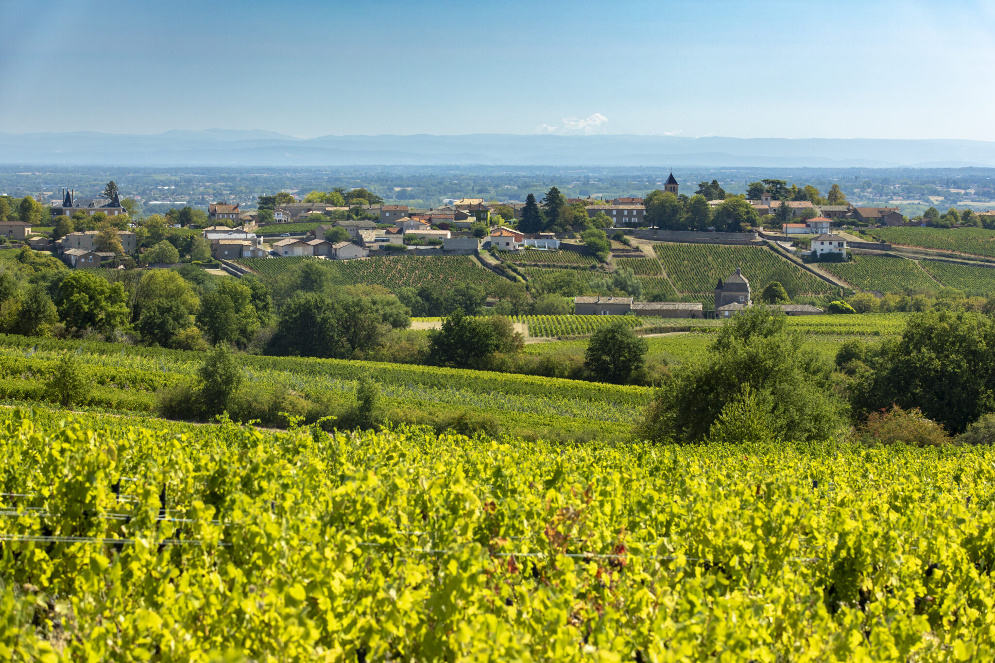 Mâcon-Chaintré