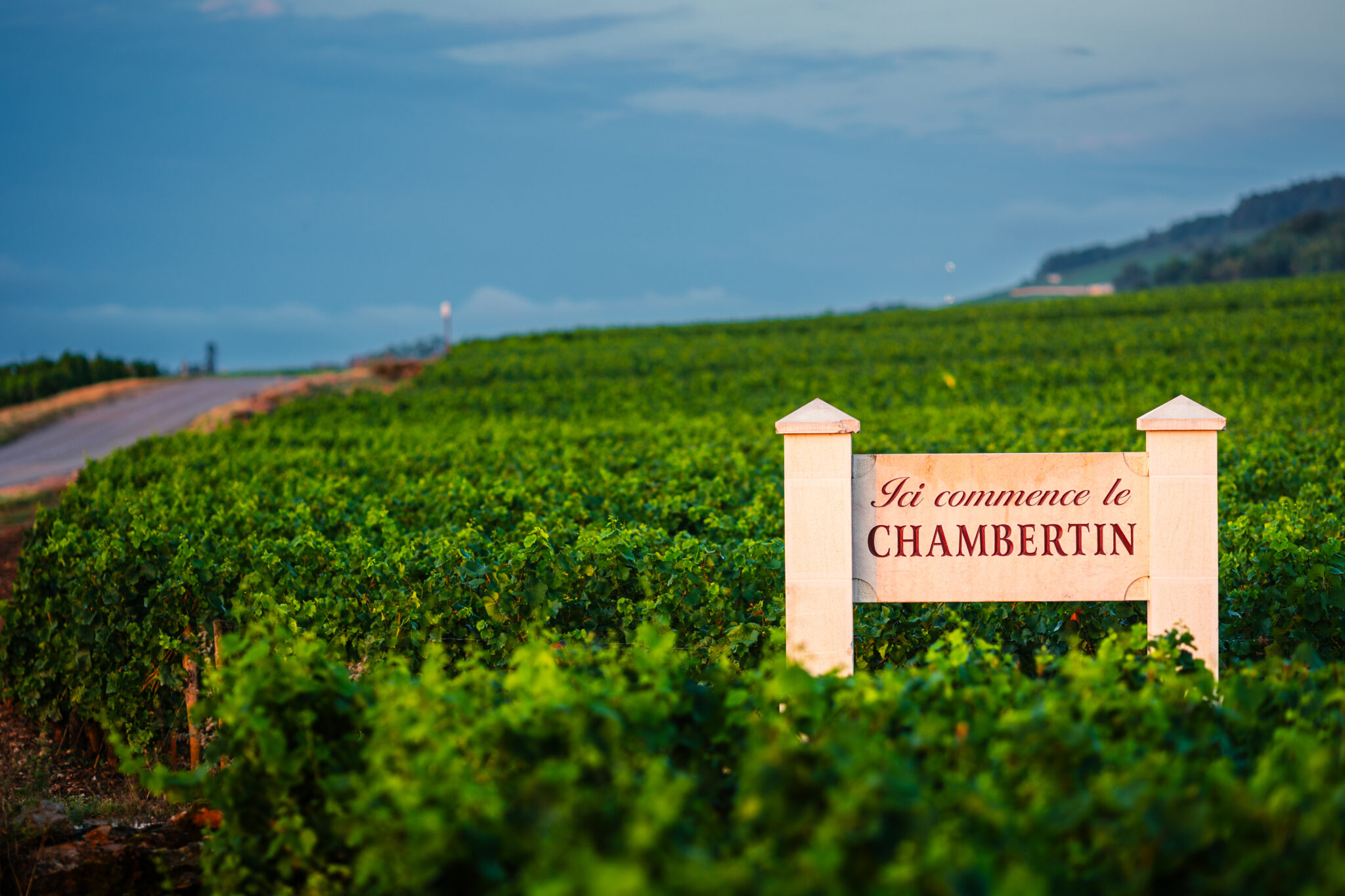 Chambertin