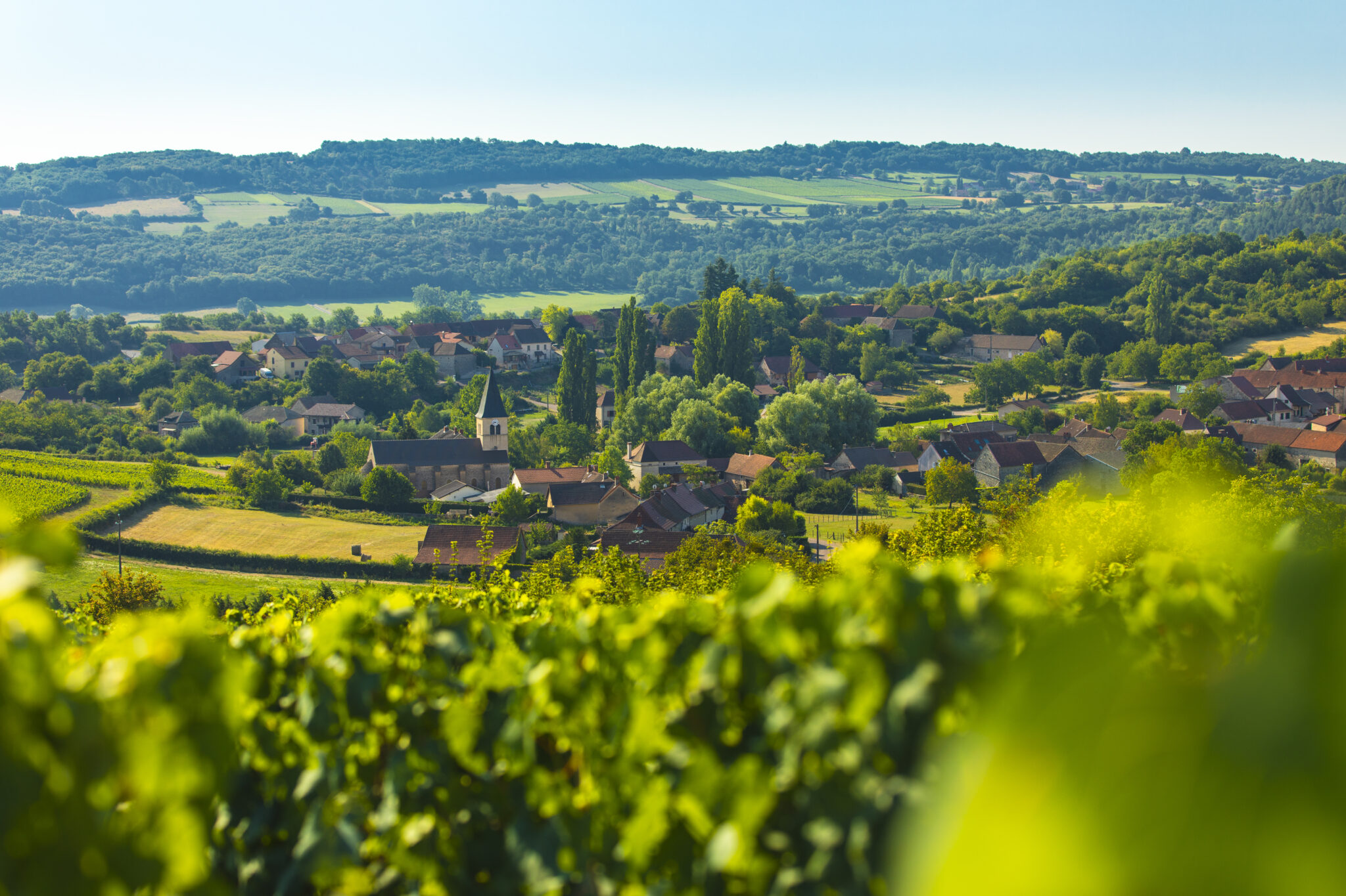Mâcon-Cruzille