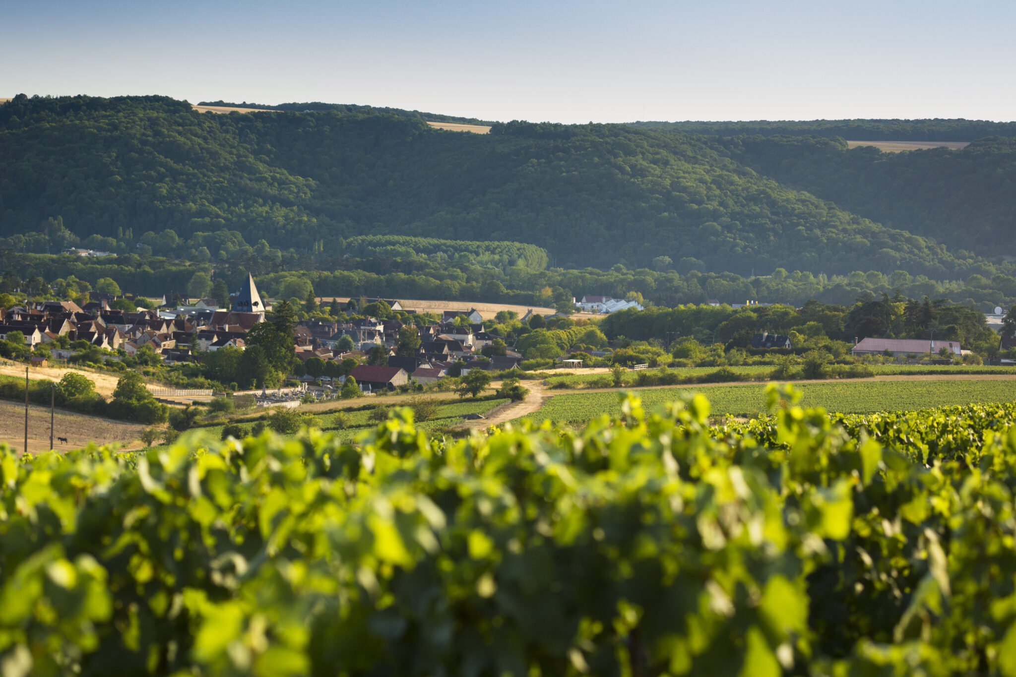Bourgogne Epineuil