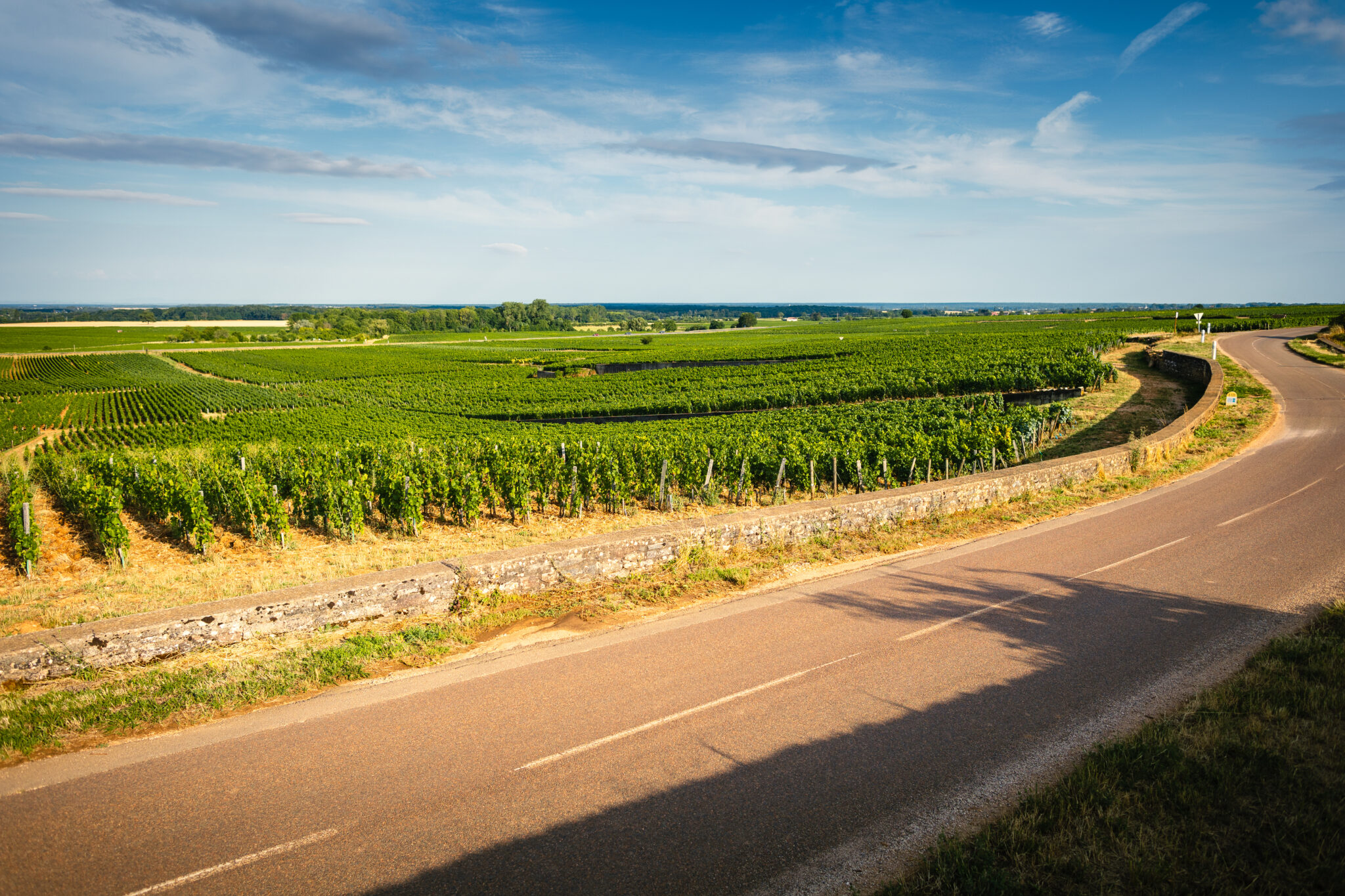 Griotte-Chambertin