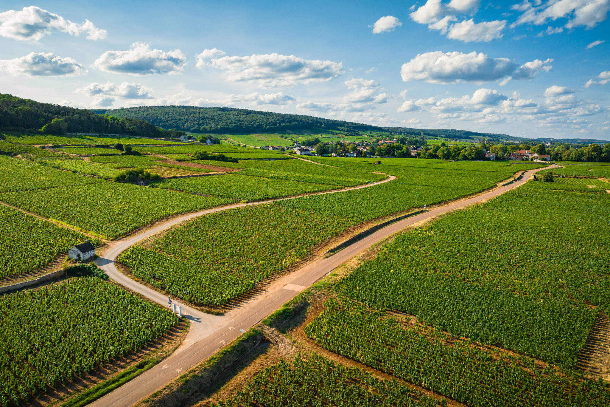 Mazis-Chambertin