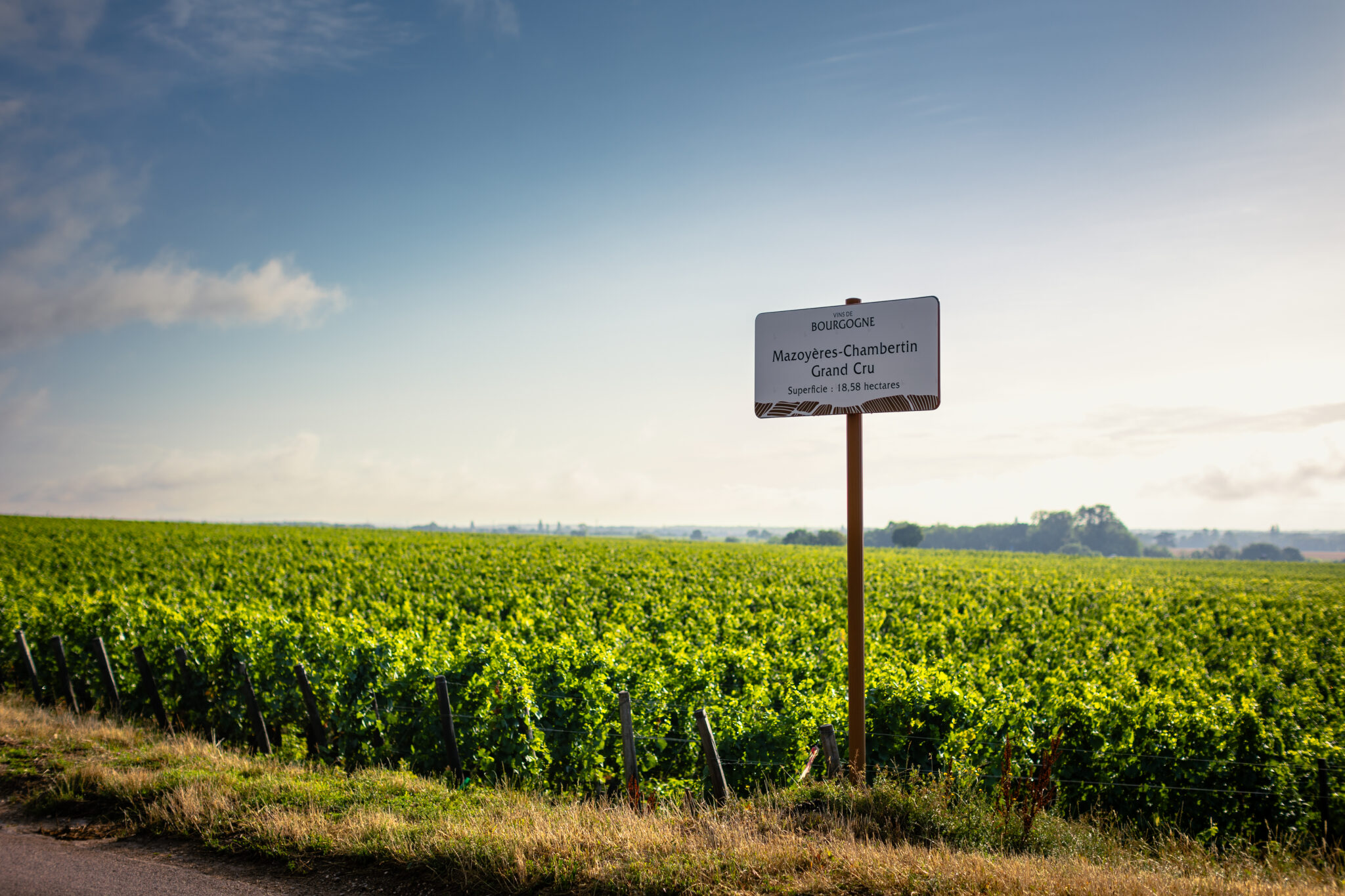Mazoyères-Chambertin