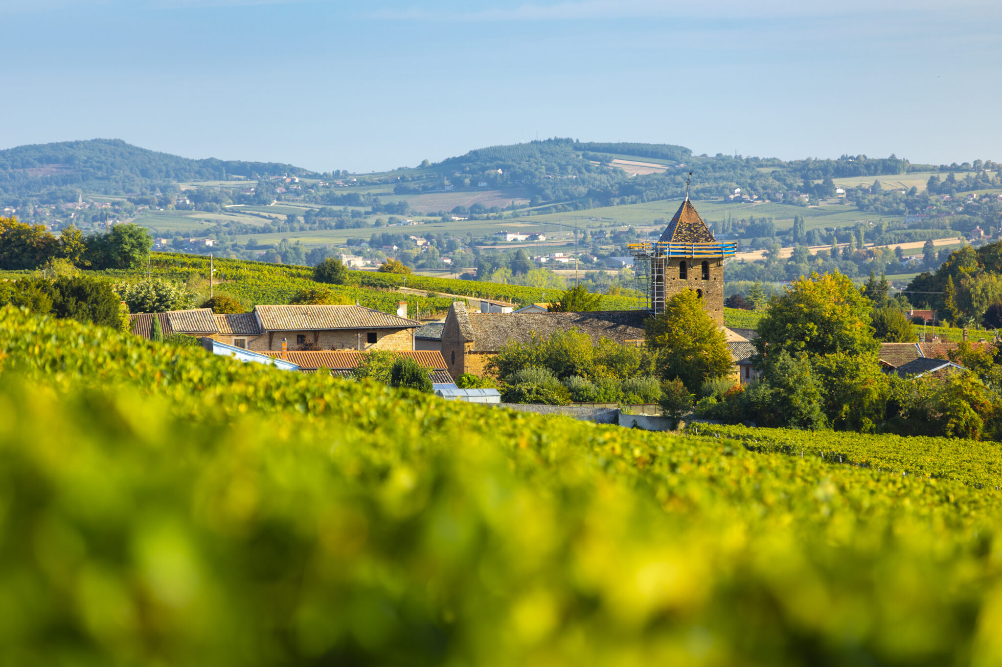 Mâcon-Vinzelles